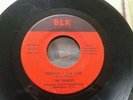 Rare Northern Soul 45 The Shades