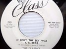 CLASSICS Los Angeles doowop WHITE LABEL PROMO 45 IF ONLY SKY WAS MIRROR DM696