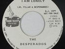 Sweet Soul/Funk 45 - Desperados - I Am Lonely - Magic Touch - VG+ mp3