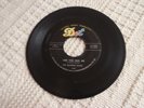 DOOWOP GROUP THE QUARTER NOTES LIKE YOU BUG ME/PLEASE COME HOME  DOT 15685
