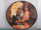 IRON MAIDEN - LAST PUB GIG LIVE AT RUSKIN ARMS 1980 LTD LP PICTURE DISC RARE NM