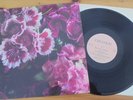 BIFF BANG POW  The girl who runs the beat hotel Lp vinyl CREATION Uk 1987 indie