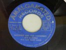 THE PIONEERS - SHAKE IT UP / GOODIES ARE GREATEST - AMALGAMATED 7