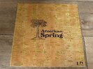 American Spring - Same 1972 UK LP UNITED ARTISTS 1st BRIAN WILSON BEACH BOYS