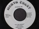 ROB COSMA BAND: In The Wind / Matthew 45 (obscure early 80s Soft Rock)