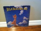 It's a Beautiful Day vinyl LP Record Album