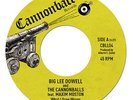 Big Lee Dowell & The Cannonballs 7