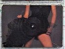 Samantha Fox: Touch Me -  UK Import 1986 Limited Edition Triple Picture Disc Set
