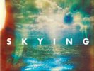 The Horrors-Skying  (UK IMPORT)  Vinyl / 12