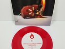 SIGNED Steve Earle Dukes Duchesses *Burnin It Down* New RED Vinyl #999/1000 RSD