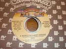 Kiss 45 A World WIthout Heroes CASABLANCA PROMO