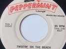 RARE  ROCKABILLY 45/ JIMMY SIMMS THUNDERBIRDS 