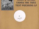SHIDE & ACORN - UNDER THE TREE LP (superb acme test pressing) AC 8006LP