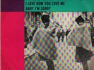 record 45 single PAUL & BARRY RYAN I LOVE HOW YOU LOVE