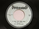Five Scalders 45 IF ONLY YOU WERE MINE / THERE WILL COME A TIME   VG++ 45 7-300