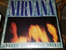 Nirvana Smells Like Teen Spirit Fender Mustang Kurt Cobain Red Vinyl Sealed Book