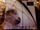 Pearl Jam Vs. LP sealed 180 gm vinyl remastered Versus