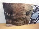 KIN PING MEH NO.2 IN 1972 MINT ZEBRA MONSTER AUS ARCHIV