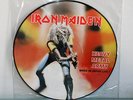 IRON MAIDEN - MAIDEN JAPAN HEAVY METAL ARMY PIC LP PICTURE DISC RARE NM DIANNO