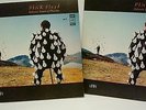 Pink Floyd Delicate Sound Of Thunder part 1 + part 2  2LP Russia Melodia