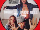 MOTORHEAD : BORN TO RAISE HELL MAXI VINYL PICTURE DISC COMME NEUF avec ICE T