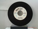 THE WATUSI WARRIORS -(45)- WHITE LABEL PROMO  WA-CHI-BAM-BA / KALAHARI  - 1959