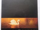 VAN MORRISON,AVALON SUNSET,1989 UK 1ST PRESS VINYL,POLYDOR,INNER LYRIC SLEEVE,EX