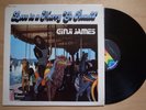 GINJI JAMES Love Is A Merry Go Round US ORIG LP BRUNSWICK SOUL