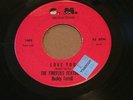 Fireflies Private Press Northern Soul Doo Wop Rare Original 45 Ships Worldwide