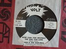 NORTHERN SOUL 45 Jean & the Darlings How Can You Mistreat Volt 151 M- HEAR MP3