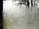 Bon Iver - For Emma, Forever Ago 12