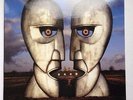 pink floyd the division bell BLUE VINYL
