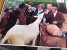 THE BEACH BOYS - PET SOUNDS 12