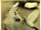 Donald Byrd - 1966 - ORIGINAL RVG Blue Note 4188 - 12” - 33 1/3RPM - “Free Form”