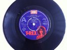 T Rex 7