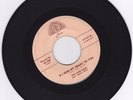 VOCAL GROUP 45RPM - THE FOUR BARS ON JOSIE - REALLY NICE COPY