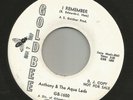 NORTHERN SOUL- ANTHONY & the AQUA LADS-  I REMEMBER- HEAR BOTH-  PROMO GOLD BEE