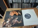 PRETTY THINGS Emotions 1967 1st Press STEREO LP in Mint