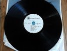 RARE BEAU BRUMMELS DEMONSTRATION SAN FRANCISCO ROCK  LP