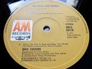 DAVE COUSINS (STRAWBS) Two Weeks Last Summer 1972 UK A&M  - MINT