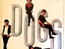 The Dogs, 