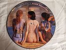 Pink Floyd Rare Beauties Picture Disc LP Vinyl