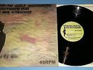 HOWLING WOLF ORCHESTRA Speedtraps For Bee Kingdom LP Record Robert Pollard Vinyl