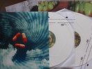 PORCUPINE TREE 