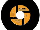 The E-Types 1966 Link 45rpm I Can't Do It b/w Long Before Larry Hosford gArAgE