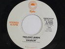 GASOLIN': Twilight Birds / Mono 45 (dj) Rock & Pop