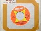 THE CAMPERS garage promo PARKWAY 45 the BALLAD OF BATMAN b/w BATMOBILE F2457
