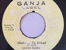 LLOYD PARKS - SHAKE UP YU DREAD - GANJA ( RARE ROOTS REGGAE 7 )