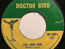 Lloyd & Glen Feel Good Now / What You've Got Doctor Bird Rocksteady Rare Listen