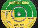 Baba Brooks Jam Session / Conquerors What A Agony Doctor Bird Rocksteady Listen